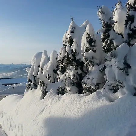 Troy Semesterbostad Doren