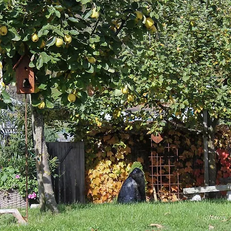 Semesterbostad Troy Doren